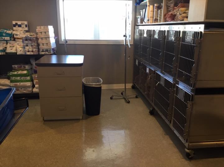 Animal Practice Of Marion Hospital & Boarding Veterinarian Marion, KY